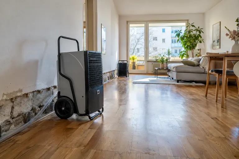 Trocknungsgerät im Wohnraum mit geschützten Möbeln und freiem Durchgang