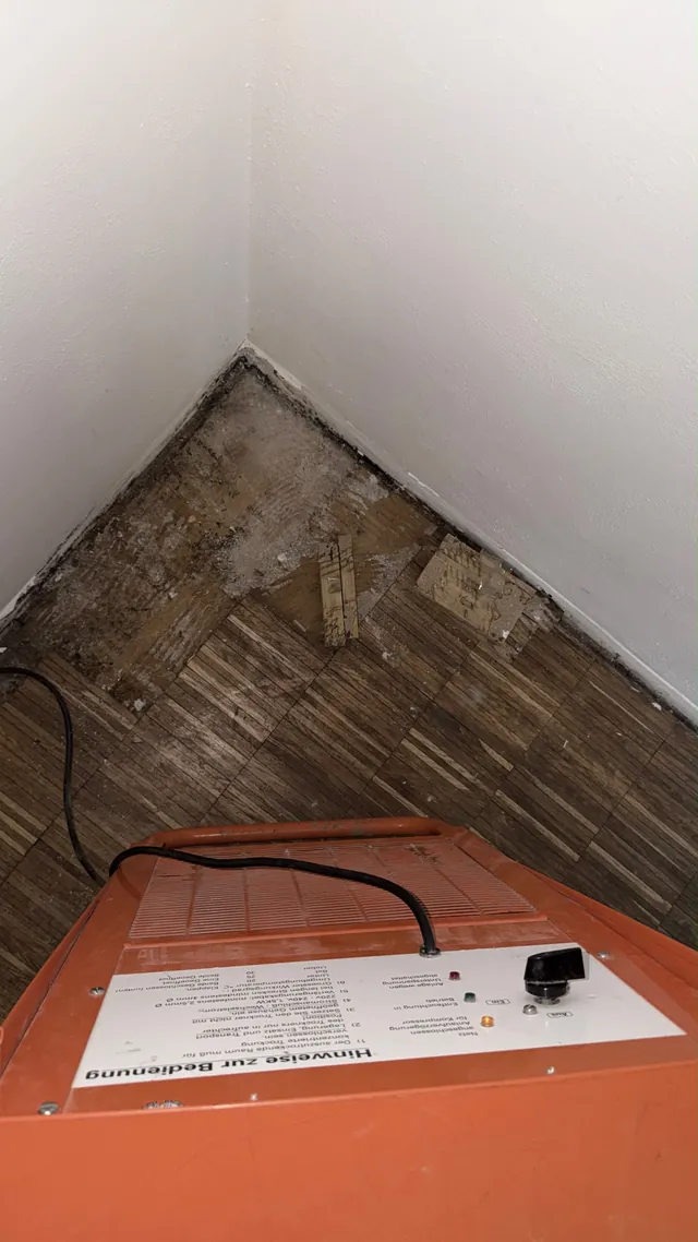 Freigelegter Bodenrand mit dunklen Verfärbungen in einer Raumecke